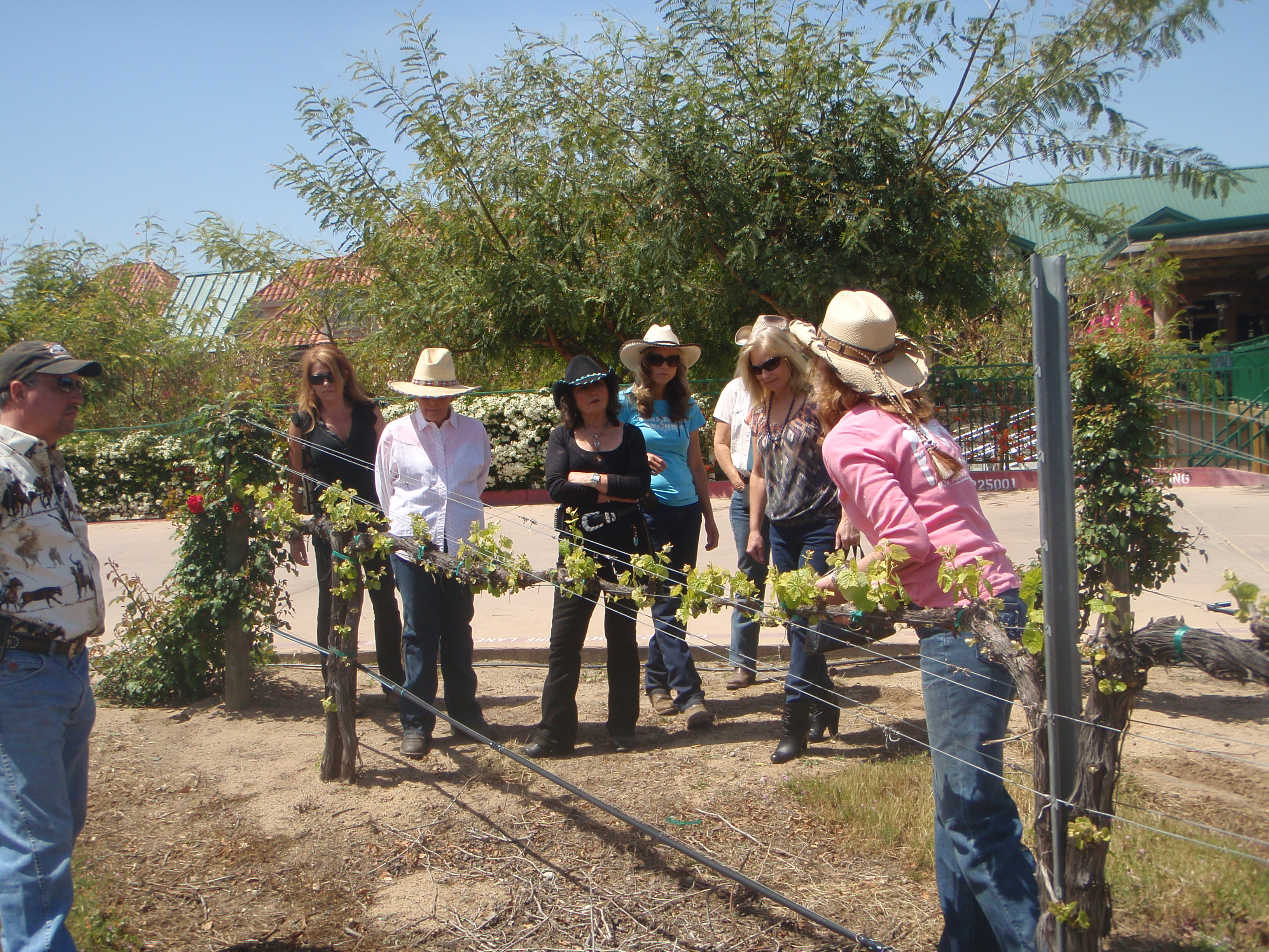 Riders enjoying a private tasting tour of South Coast Winery Resort and Spa with their 