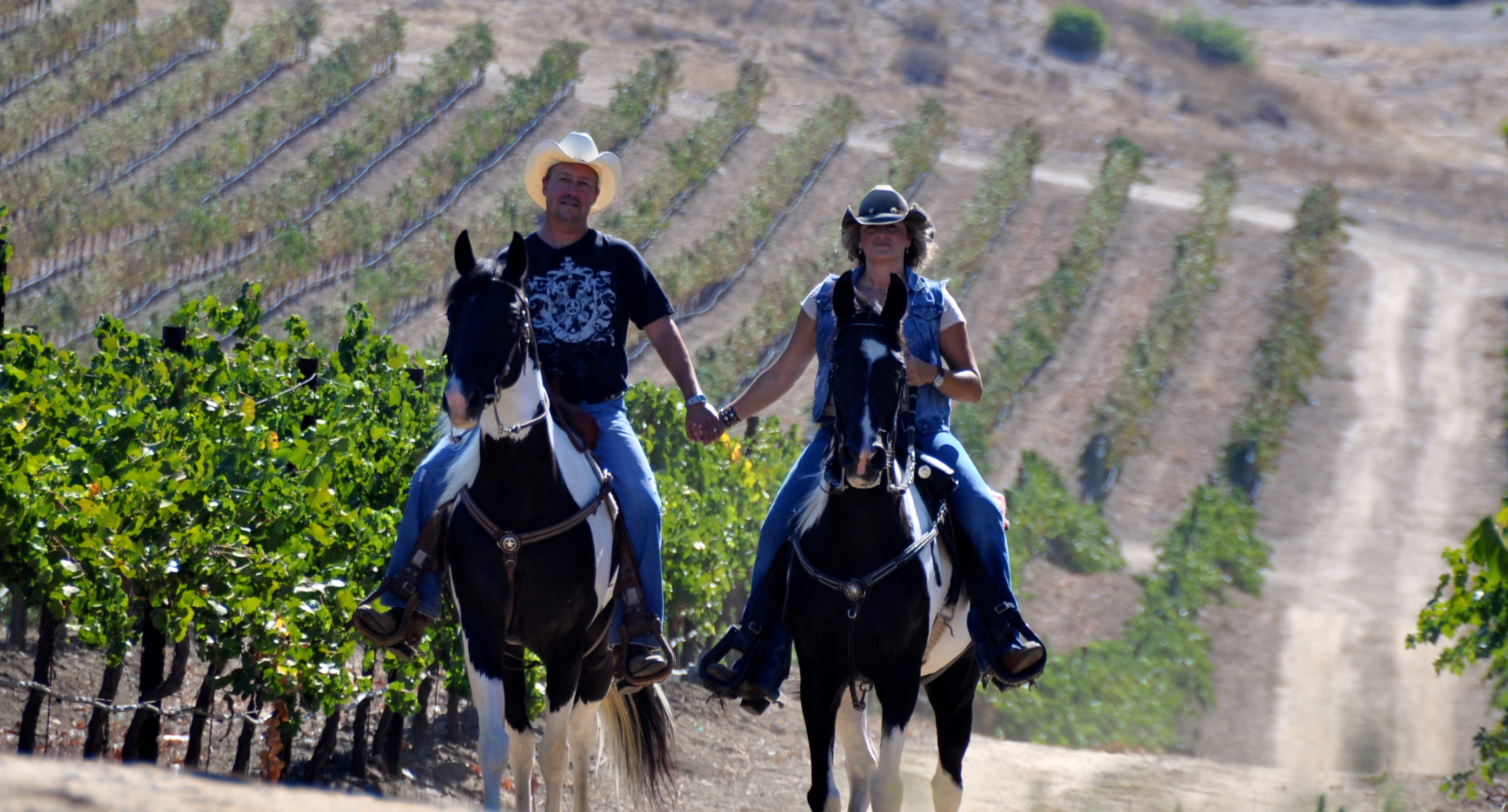 "Gaits in the Grapes" Trail Rides in Temecula Wine Country, CA