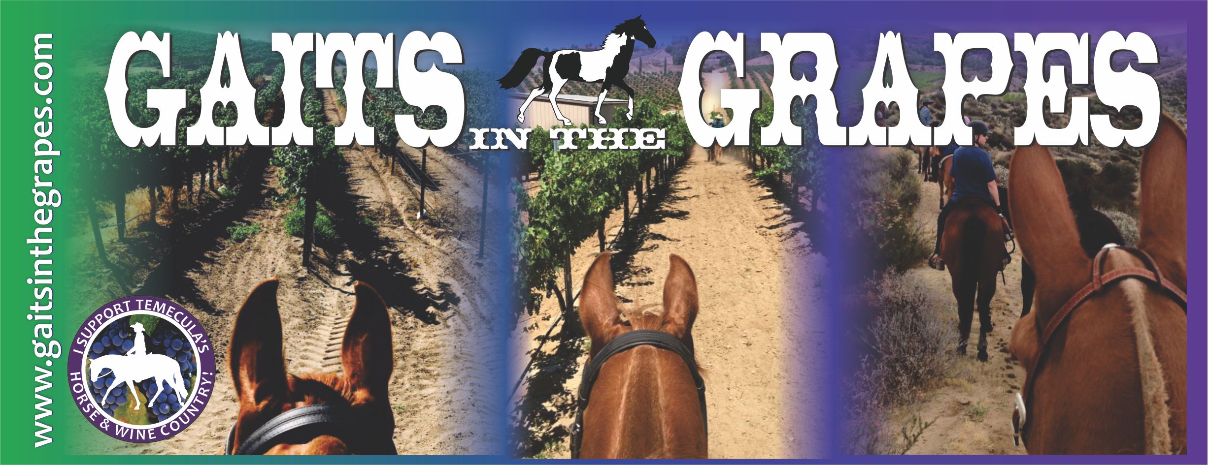 Gaits In The Grapes Horseback Trail Rides In Temecula Wine Country Ca